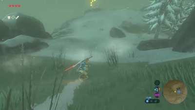 I think that's the funniest korok seed ever