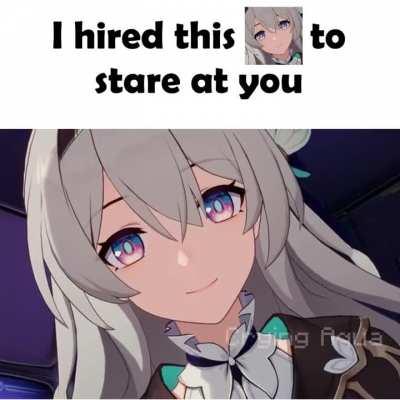 I hired this Firefly to stare at you