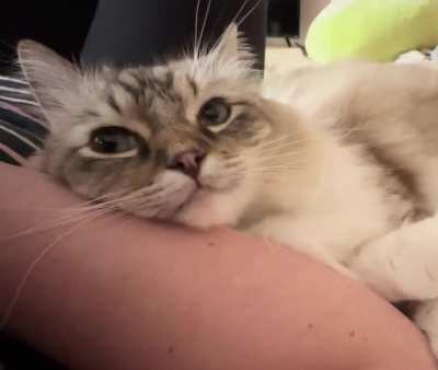 does your sweet bb ever make you just wanna WEEP?