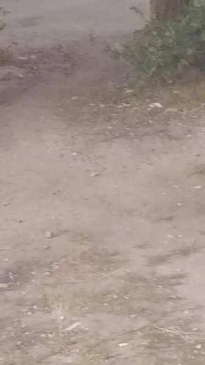 Voronezh is very atmospheric