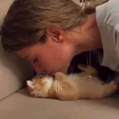 Smol kitty showering kisses.