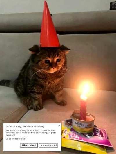 I don't even notice when it hurts anymore