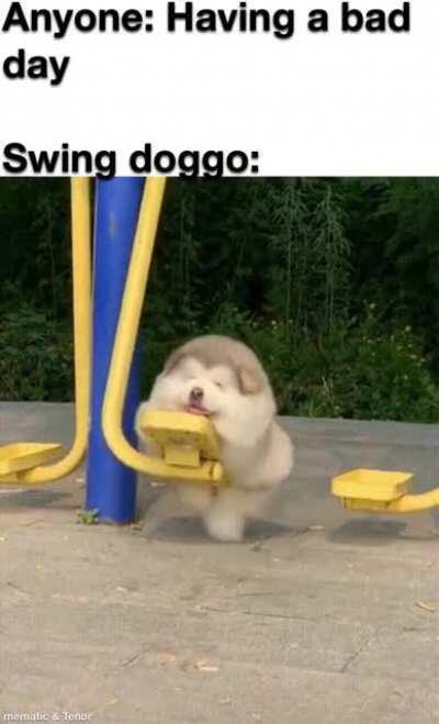 The meme is enough, but have a good day :))