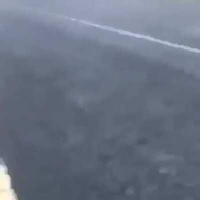 Guy throws gator into the lake