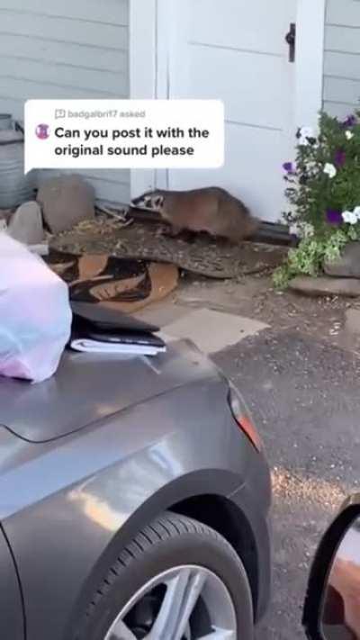 Когда родители тонко намекают что тебе пора съезжать