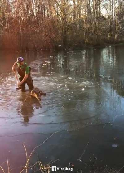 Kind family helps baby deer stuck in frozen pond