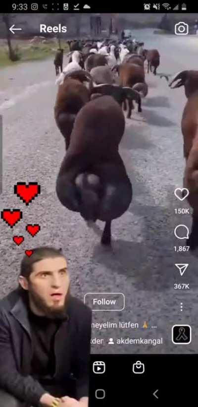 Time for Islam to go home and celebrate