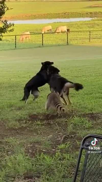 You will include me!