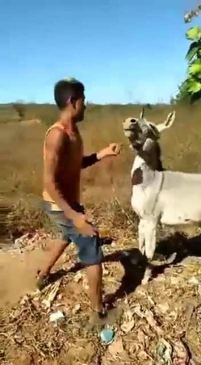 Pay Back is a bitch ...