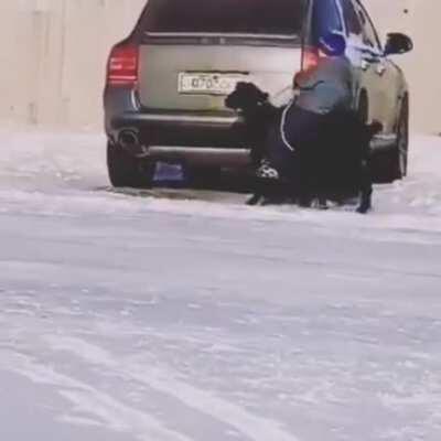 Yes, that is a cute little Russian boy riding a goat in the frozen land of Siberia