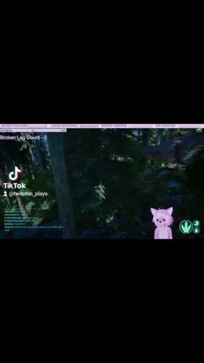 When Rex doesn't see you