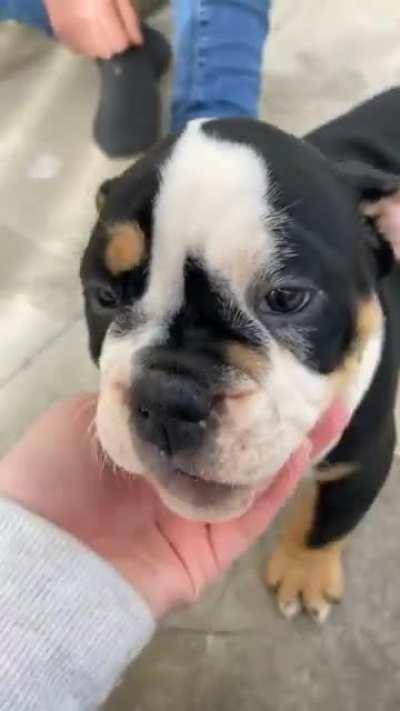 Ivys first day home today!!