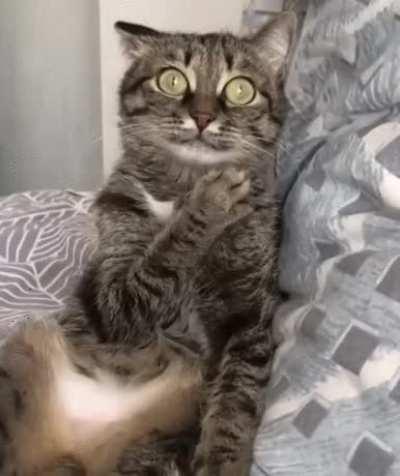 POV: you realized that New Year is tomorrow