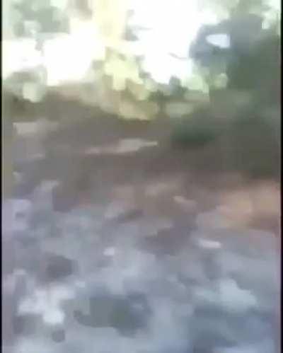 [NSFW] cursed_viktor