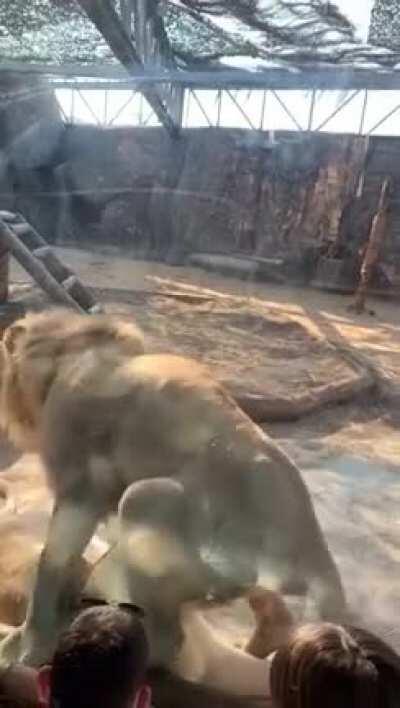 Take the kids away! Take the kids away!!!