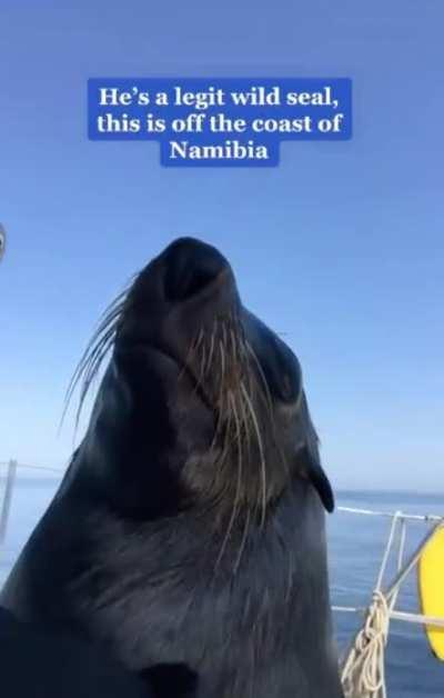 How often does that happen?