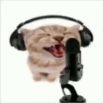 I’m 15 and this is yeet