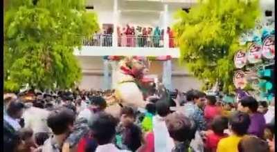 Horse gets frustated by crowd and loudspeaker and creates a havoc