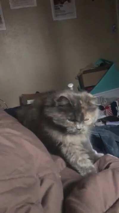 Chock making biscuits