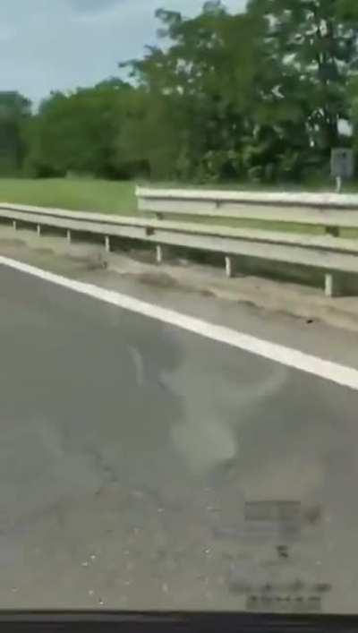 Three kids in Italy stole a van and made a car accident