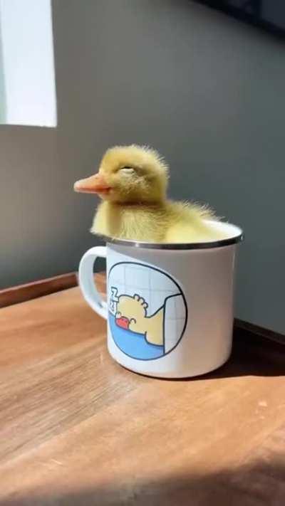 Good morning Everyone! Have a wonderful day