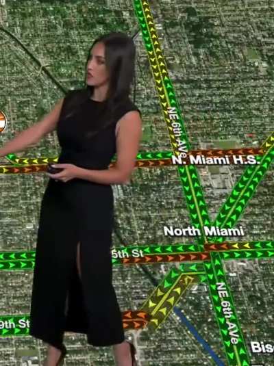 Annaliese Garcia | 8.14.25 | Local 10 Miami