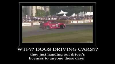 and yet your dumb ass still can't obtain a drivers license 🙄🤦🏻‍♀️🖕