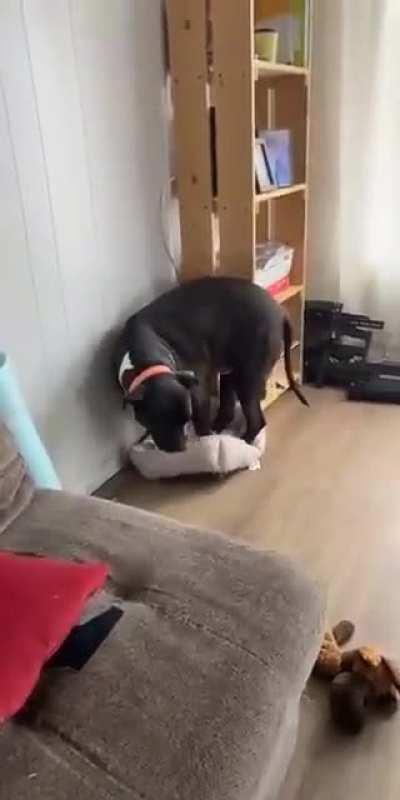 It seems a bit out of size