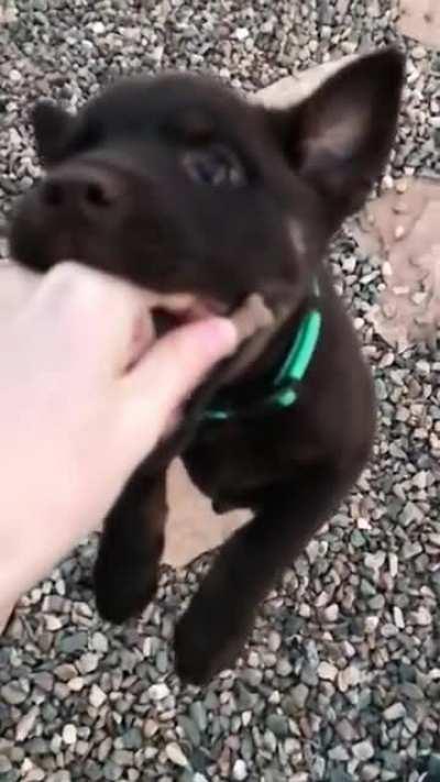 He’s Working On It…..