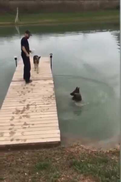 Dumbass can't figure out how to wharf