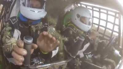 WCGW driving into the bush of cactus plant