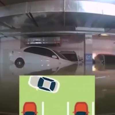 倒车入库，神乎其技