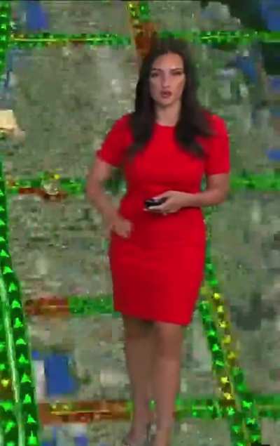 Annaliese Garcia | 8.13.25 | Local 10 Miami