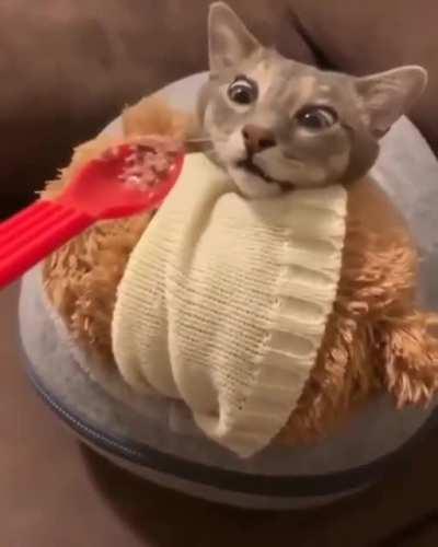 Блин, откуда это так вкусно пахнет....