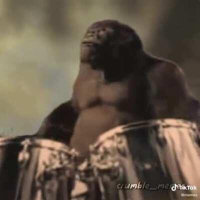 Sem briga. Apenas música