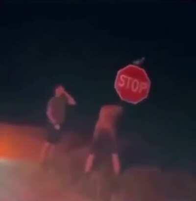Idiots fighting stop sign