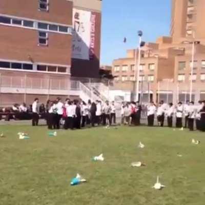 this guy has a great throwing arm