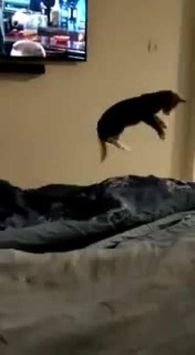 The monster under the blanket