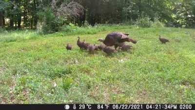 Mom trying to enjoy a private moment