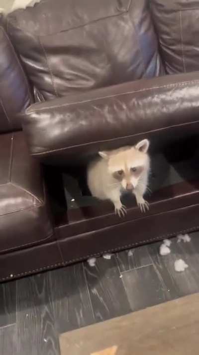 It’s his secret cave.