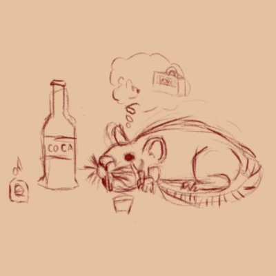 Domingo a noite.....