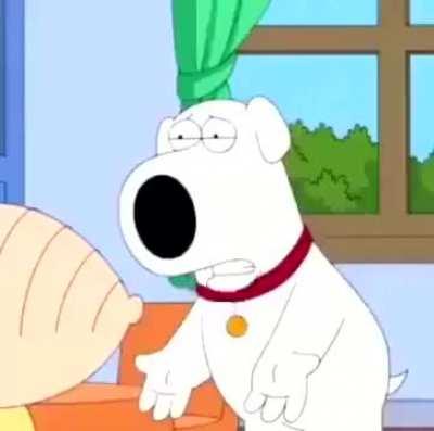 the entire community after the new update