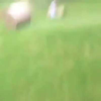 Kid thinks he’s playing Donkey Kong