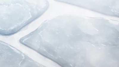 Hyakkiya Tantei Jimusho Hyakkiya Hikari no Youkai Jikenbo 2