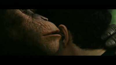 Spreading the word on the Memolations