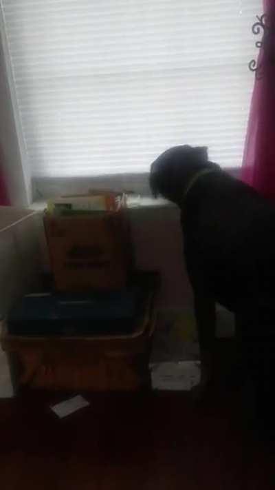 To keep the blinds closed