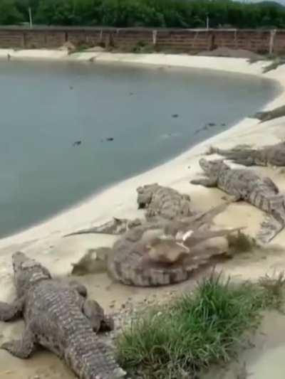 Зашла не в тот район