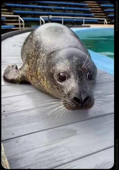 she knows she’s pretty