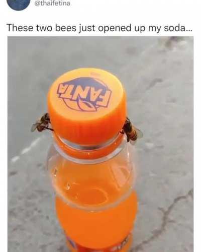 Bees opening up a soda