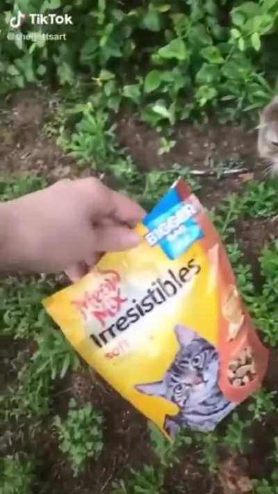 No it’s Meooow mix.